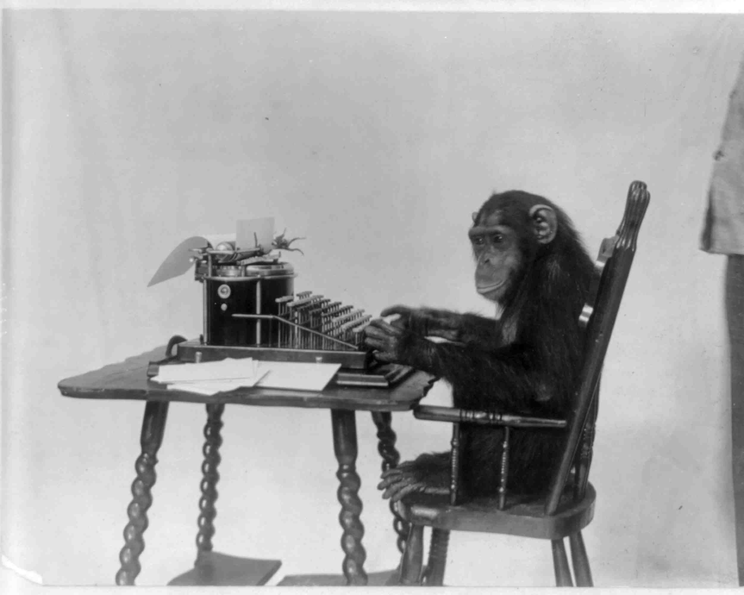 Шимпанзе за печатной машинкой